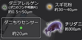201503061629.jpg