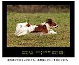 201804271101.jpg