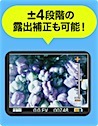 201806271027.jpg