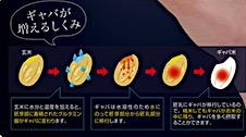 201812291158.jpg