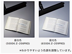 201902141737.jpg