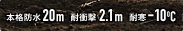 201904031609.jpg