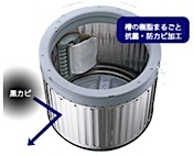 201906081353.jpg