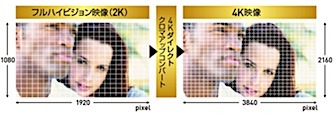 202002031306.jpg