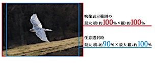 202007161148.jpg