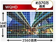202008191309.jpg