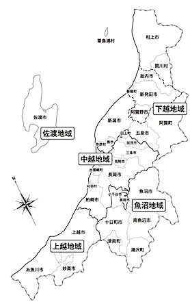 202011191115.jpg