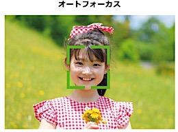 202301111239.jpg