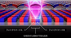 202301111734.jpg
