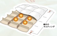 202311241623.jpg