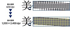 202401271737.jpg