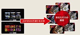 202406252046.jpg