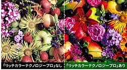 202406272011.jpg