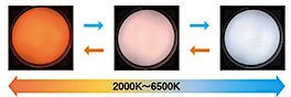 202412061125.jpg