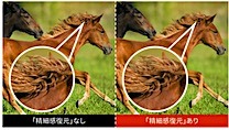 202501161445.jpg