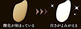 202501311555.jpg