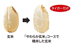 202501311627.jpg
