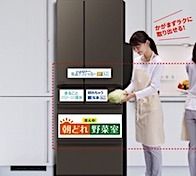 202503052339.jpg
