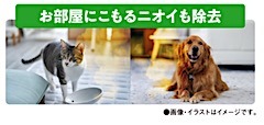 202503091840.jpg