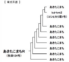 202504101919.jpg