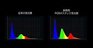 202504121022.jpg