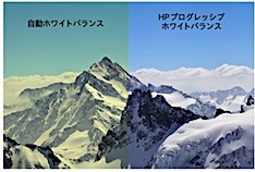 202505061317.jpg