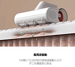 202505221933.jpg