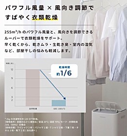 202506061706.jpg