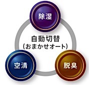 202506071105.jpg