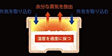 202507011742.jpg