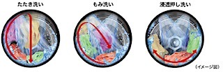 202601261616.jpg