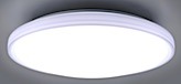 202601302024.jpg