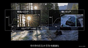 202605151111.jpg