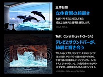 202605171612.jpg