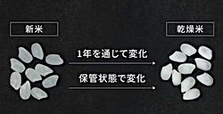 202607281703.jpg